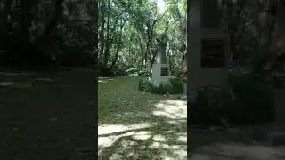 Bosque do Papa Jo&atilde;o Paulo II 🌲 Curitiba | Passeio completo pela Manh&atilde; | Walking Tour Full