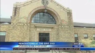 Erie Zoo expects renovations to visitor favorite exhibits starting as early as this Spring