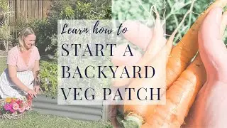 Learn how to start a backyard veg patch