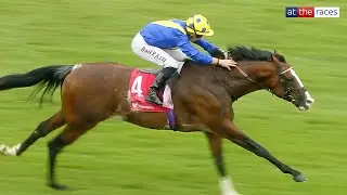 MORE THUNDER STORMS HOME IN THE HUNGERFORD | Forecast looks good for William Haggas' classy colt