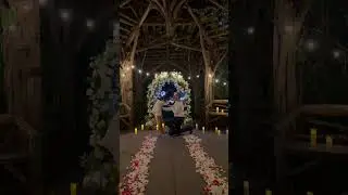 Secret gazebo marriage proposal in Central Park #proposal #nycproposal #marriageproposal #engagement