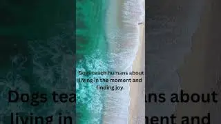 Inspirational Teachers
