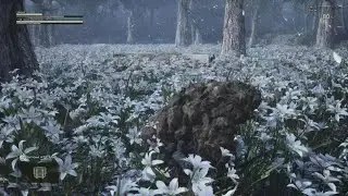 METAL GEAR SOLID Δ: SNAKE EATER Fox Hound Rank