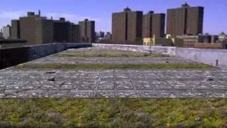 Engineering for the Planet