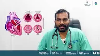 Transcatheter Aortic Valve Replacement Surgery