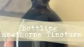 Bottling Hawthorne Tincture 