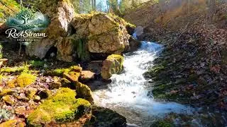 30 Minute Clear Water River | Peaceful Nature Sounds to Relax