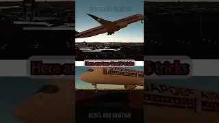 Two GeoFS tricks nobody knows!! 🤯🤯 #geofs #aviation #flightsimulator