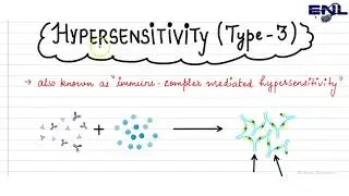 Type 3 Hypersensitivity Reaction || Microbiology