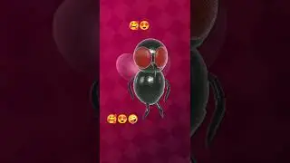 # Dil duba song bee fly dance,s🥰😍# short # meera activity👍☺️😁🤣