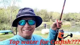 Will a Catfish strike a TOP WATER LURE?/ Fishing 🎣 / Carrasco Ranch