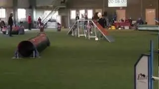 2012 wtc3 djitly vp