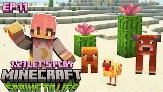 EXPLORING the SPRING TO LIFE update in MINECRAFT! - 1.21 Survival Let's Play - Ep. 11