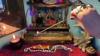The Over-Examined Life: overdivination, planners, and the too-muchness of YouTube