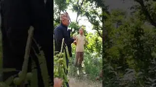 Bharapa Panchthar   भारपा घुमघाम