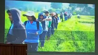 Quality Management System of rice seed production