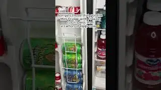 Mini Fridge Restock Haul! #minifridge #restock #fok #storerun