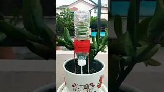 Smart Idea for Your Garden! Watering Hack with Just a Cotton Bud and Plastic Bottle #lifehacks #diy