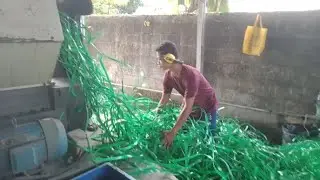 PROSES GILING / CACAH TALI PET (STRAPING BAND).