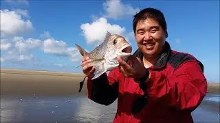 NZ Basic Fishing | Surfcasting | A slow, hot day at Muriwai beach