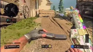This Is The Best Variant In BO4 (COD: BLACK OPS 4)