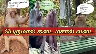 ❗😝கோவாலு...!குடும்பத்தார்...❕🤣@user-empireofhumor 