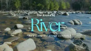 Forest River Sounds | Relaxing ASMR for Sleep and Meditation #ASMRNature #RiverSleepSounds