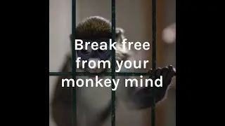 Trailer for Season 2 of Break Free From Your Monkey Mind Podcast