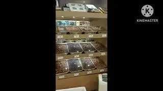 Kerala masala shop| Araish kitchen| masala shop