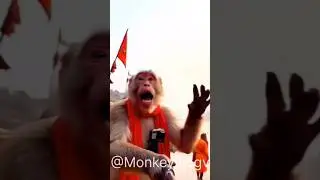 Haridiwar Ganga me snane karte time🙏🥰😍 #viral #monkeyvlog #trendingshorts #aivideo #aiviral #shorts
