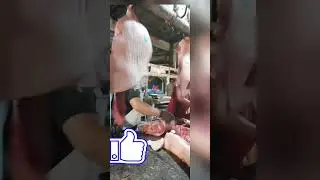 Deboning of shoulder & ham( removing shoulder blade,arm bone,aitchbone and femur bone)