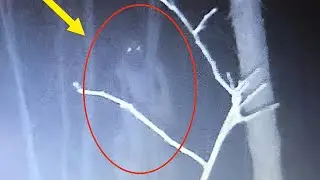 🇱🇰Top 5 scary videos caught in camera [Christmas special video] Sri lanka 🇱🇰 Ghost master top 3.