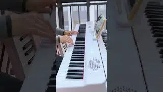 Đ&agrave;n Piano Gấp Bora BX-40 (BX-40 Folding Piano)