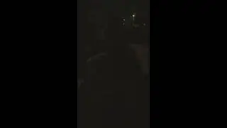 Drunk cats dogs and rats cover