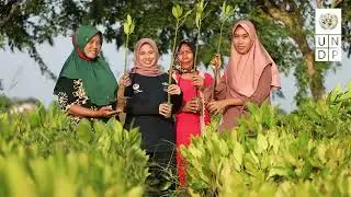 Results-based payments for REDD+ advance Indonesia's climate goals