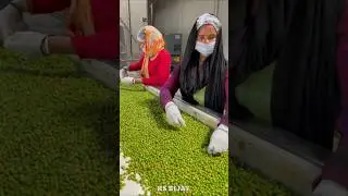 Frozen green peas processing. #shorts #shortvideo #viralvideo #making