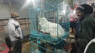 ✅SONPUR MELA KA NAJARA DEKHO DOSTO✅