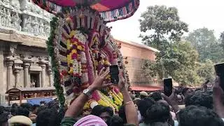 திருவண்ணாமலை ஆருத்ரா தரிசனம்