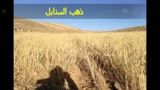 المراح   قلدون  : آه ........  يا بلدي