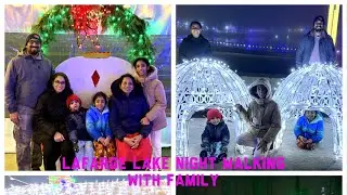 Christmas light at lafarge lake 2025