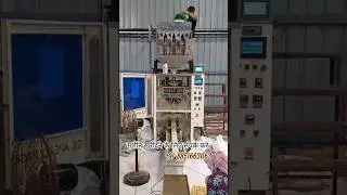Pasta II Vermicelli Semiya II Soya Chunks Automatic Pouch Packaging Machine with Four Head Weigher