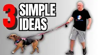 How to Stop Leash Pulling Even If Your Dog Is A Stubborn Breed