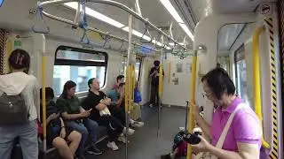 東鐵綫 R-train D085/D087  [九龍塘 - 大埔墟]