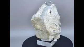 calcite ammonite wolfsburg