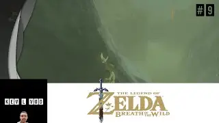 The Legend of Zelda : Breath of the wilde #9