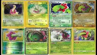 TCG History: Meganium