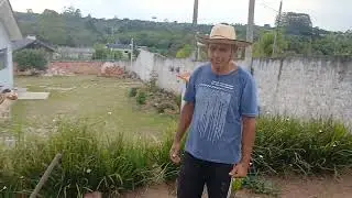 Falta de chuva tá deixando nossas plantas amarelada 