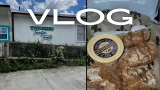VLOG • Biscoff King Cake + Late Nights + I should cancel 