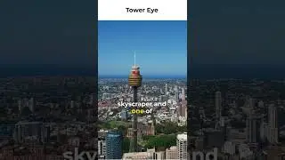 ✅ Tower Eye: Panoramic Views and Sky-high Adventures in Sydney