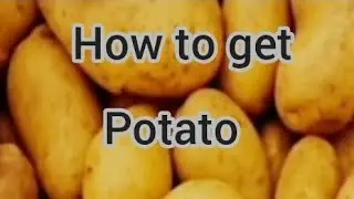 How to get potato Slap Battle Tower Defense easy